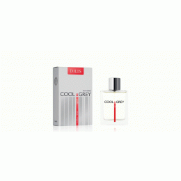 Вода туалетная Dilis Parfum Cool&Grey 100 мл